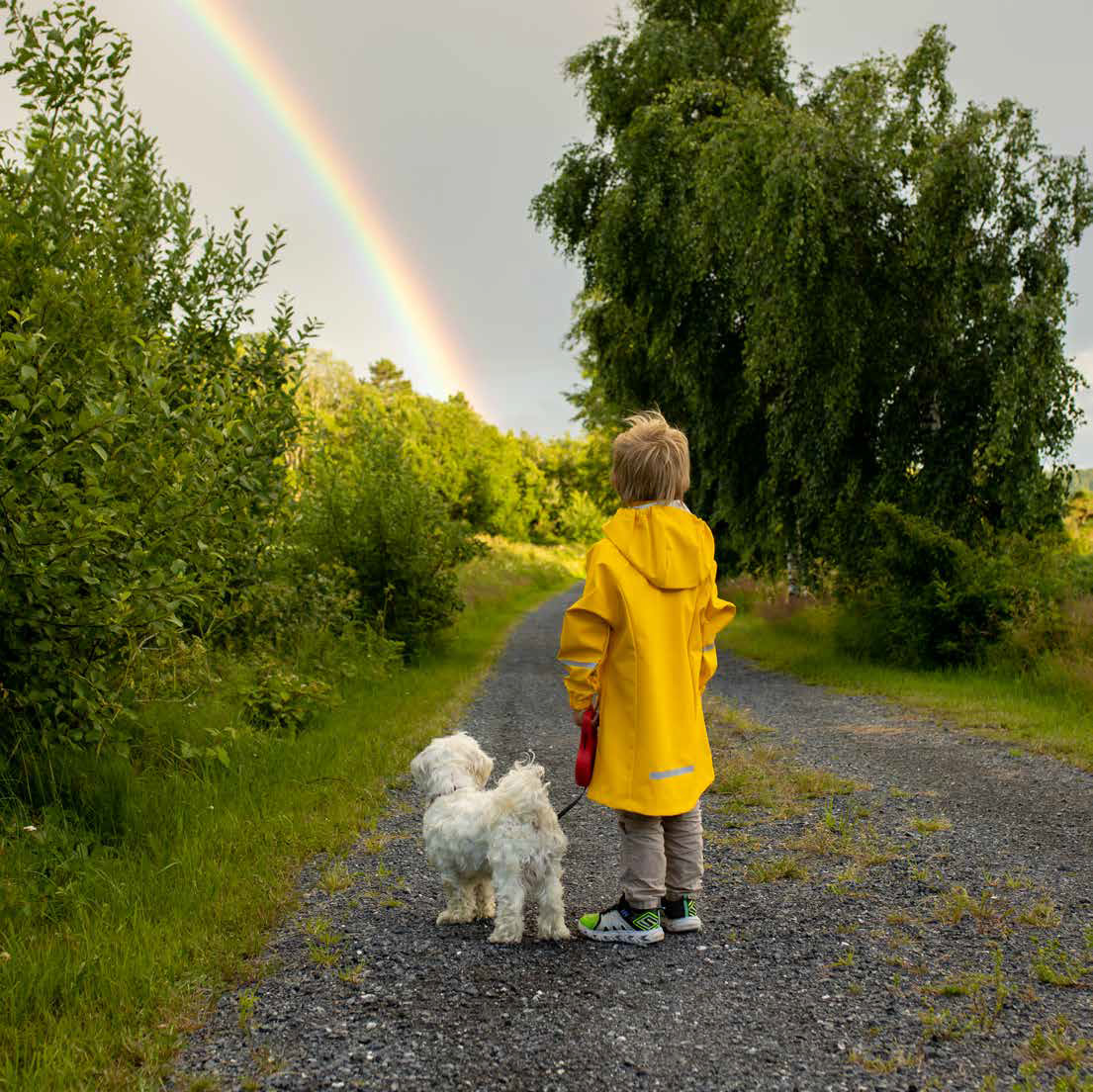 From Storms to Sun: How 2024 Brought Us Closer to Cures